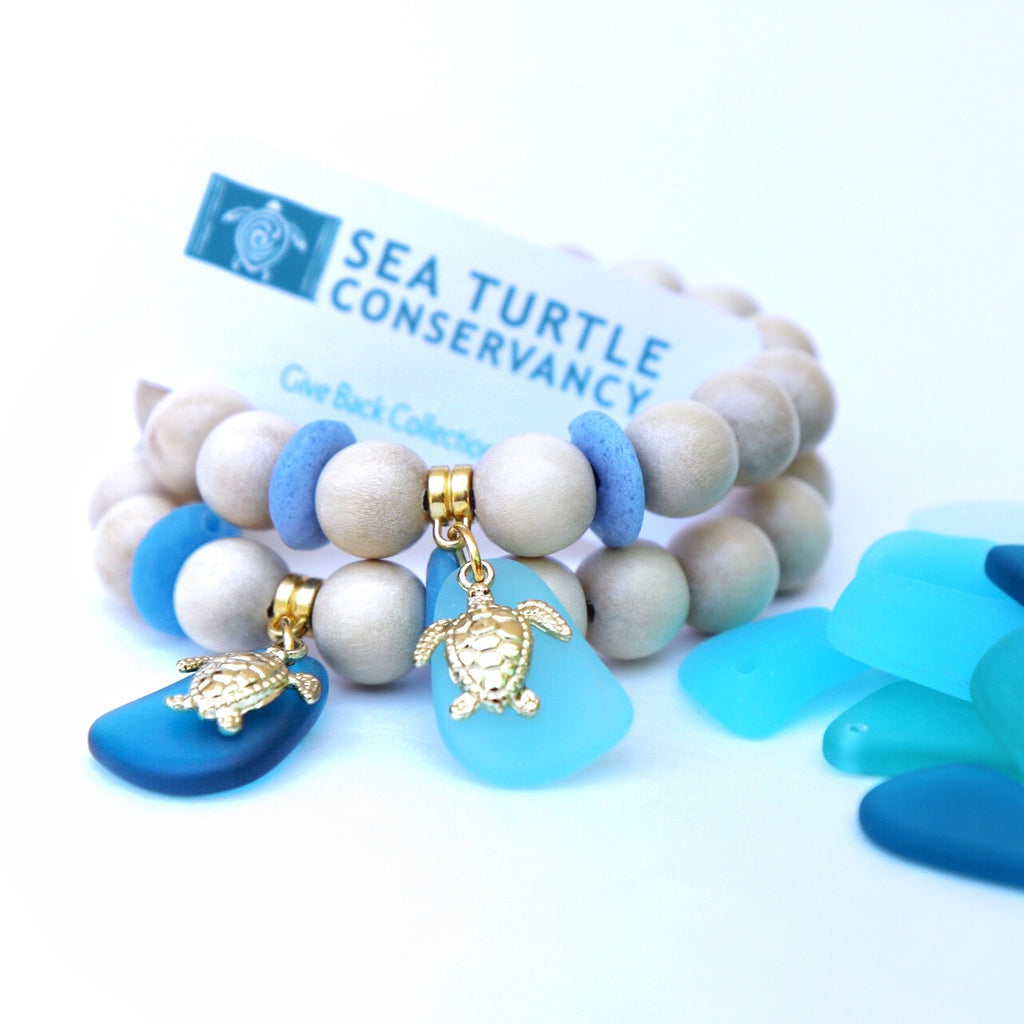 Save the Sea Turtles 2.0