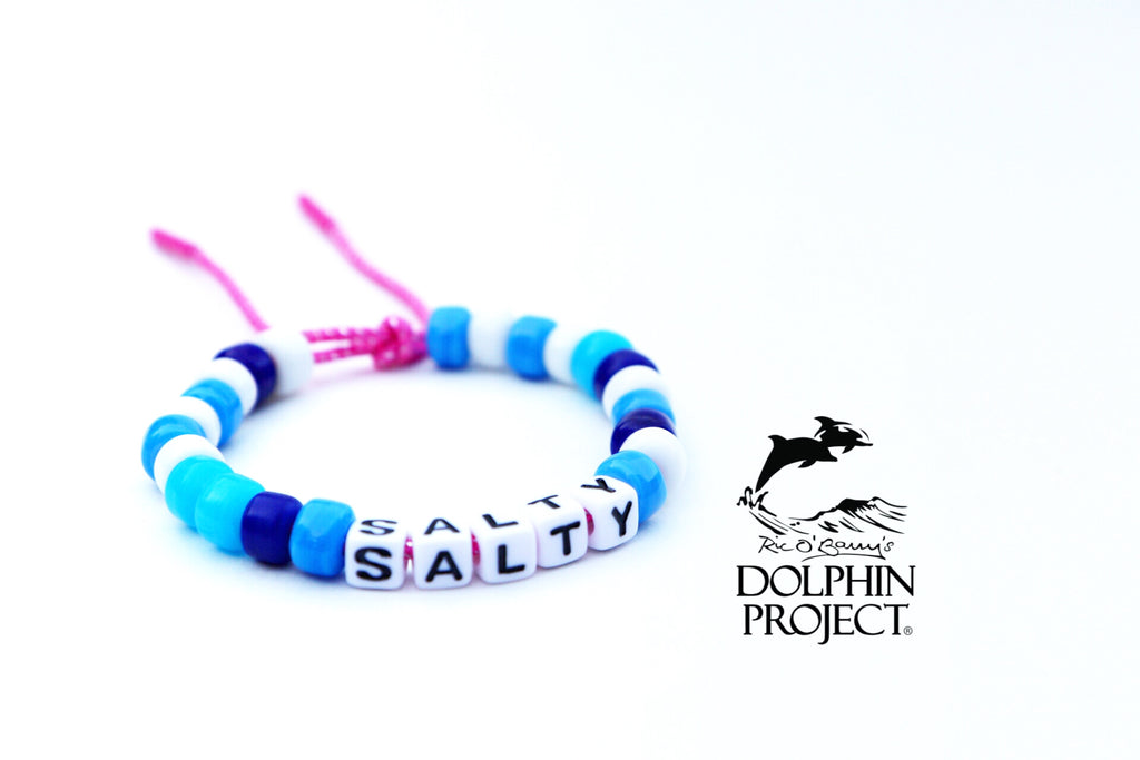 The Salty Dolphin